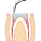 Endodontics/E7 -varios