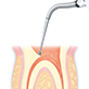 Endodontics/E15D -varios